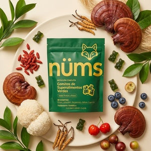 Adaptógenos y Hongos